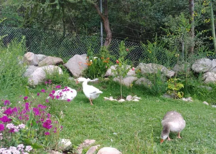 Casa vacanze Eco Con Piscina *