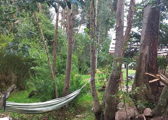 Eco Con Piscina *